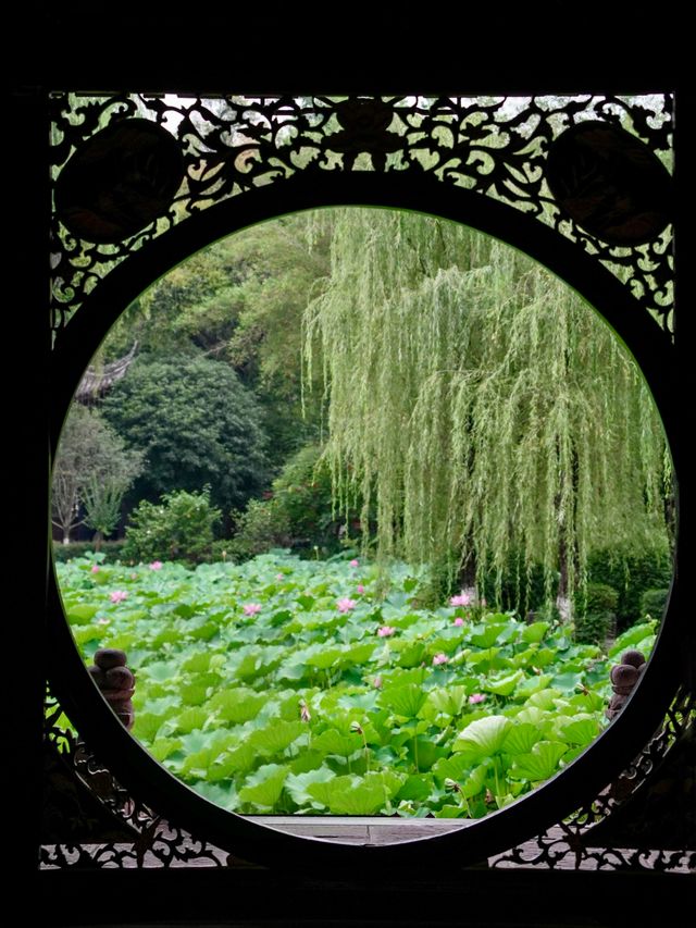 成都接下來的花花世界，真的真的好浪漫