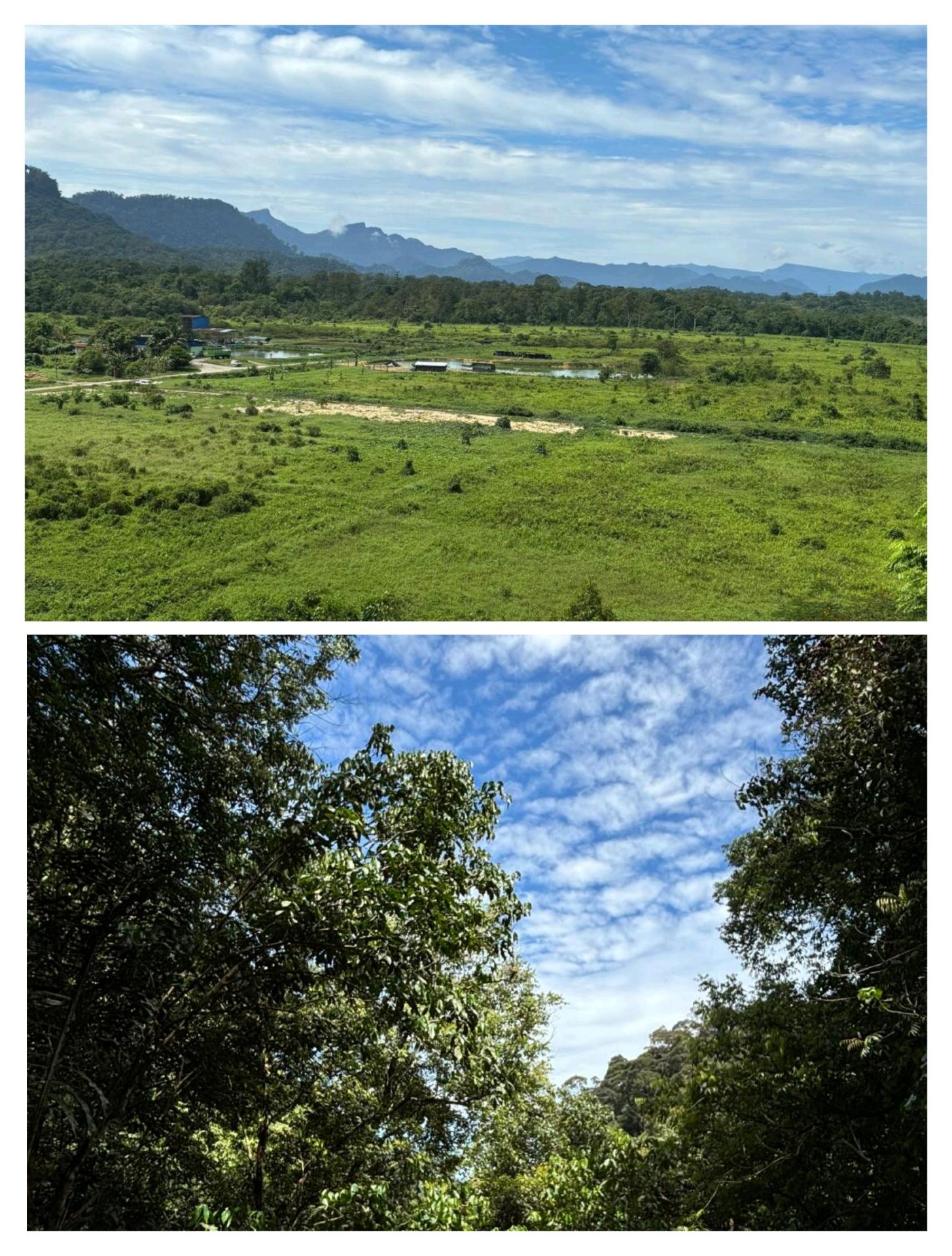 Khám phá Hang Tiên ở Kuching, một cuộc phiêu lưu dưới lòng đất kỳ diệu với giá khởi điểm chỉ từ RM5!