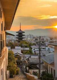 日本伊豆早櫻河津櫻花攻略