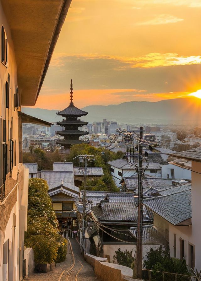 日本伊豆早櫻河津櫻花攻略