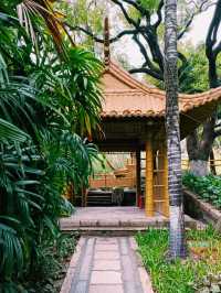 Honey Moon at Gulangyu: The Island of Romantic Beauty