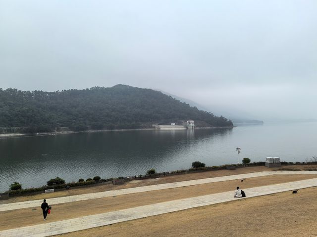 春來尋夢石竹山