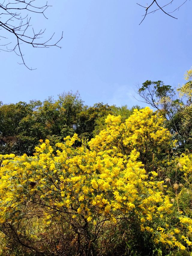 2日江門探秘 我為你揭秘這座城市的美好