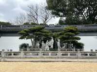 尋找春天，我選擇桂林公園，寧靜且美好