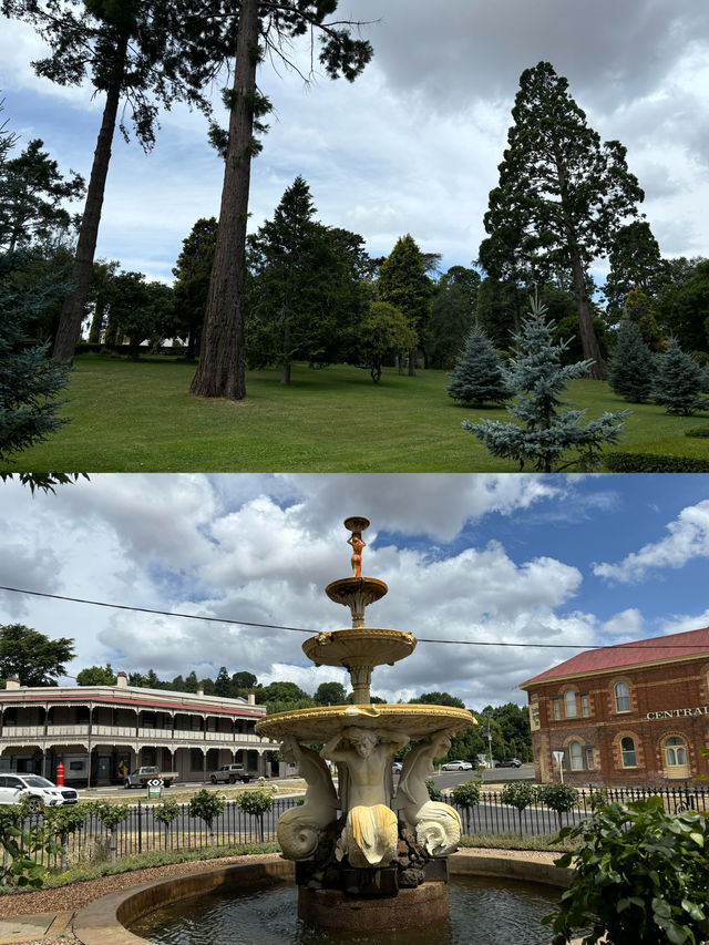 澳洲戴尔斯福特｜夢幻田園間的悠然康養之旅