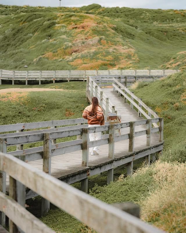 澳洲索倫托：飛躍菲利普島的自然奇觀 