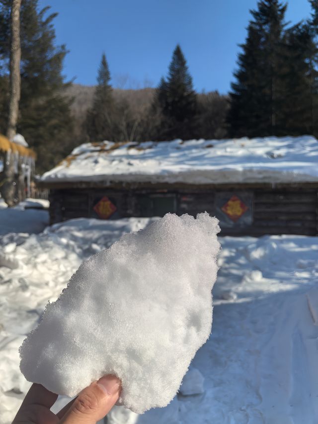 鏡頭下的大雪谷，雪蘑菇與霧凇的幻境交響