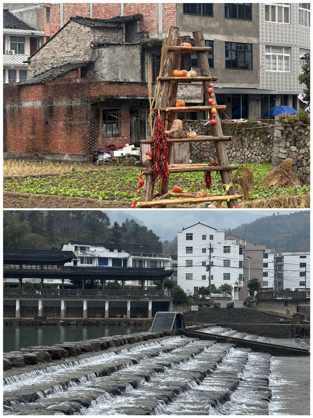 溫州親子遊歸來，分享真實體驗！因為一首歌愛上一座城