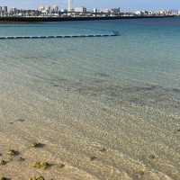 日本沖繩·宜野灣海濱公園—超適合野餐放空的濱海綠洲