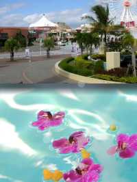 拉古拿花園酒店：海濱度假的完美棲息地