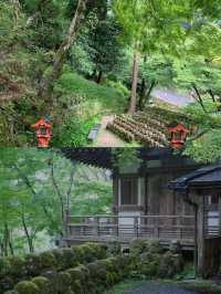 遍地表情包，這大概是京都最可愛的寺廟！