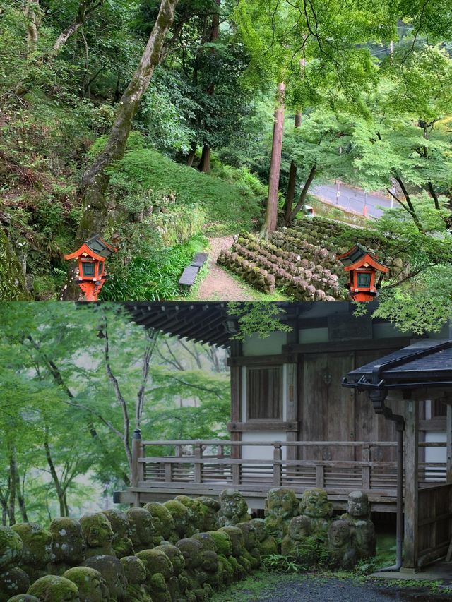 遍地表情包，這大概是京都最可愛的寺廟！