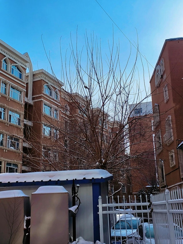 新疆冬日奇幻之旅：大巴扎與水磨溝的冰雪盛宴