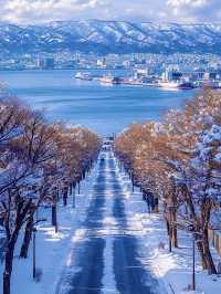 6日深度遊 清明去日本正當時