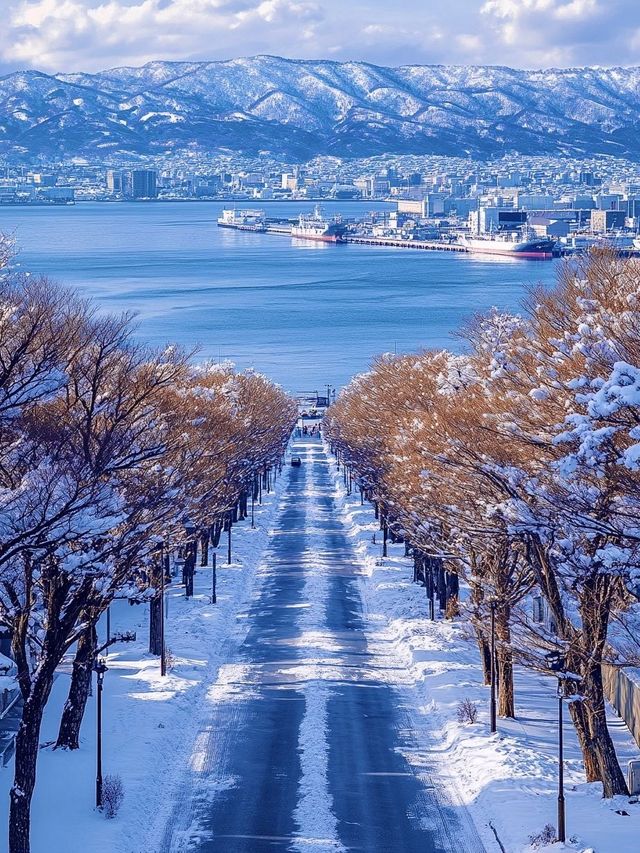 6日深度遊 清明去日本正當時