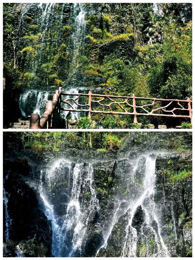 章里古道空氣清新氧氣充足快來吸氧