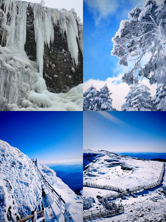 不是長白山去不起，而是轎子雪山更抵玩