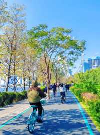淡季城市輕旅行 | 前海石公園Citywalk全攻略 ——解鎖深圳西岸的橘子海與摩天輪浪漫 