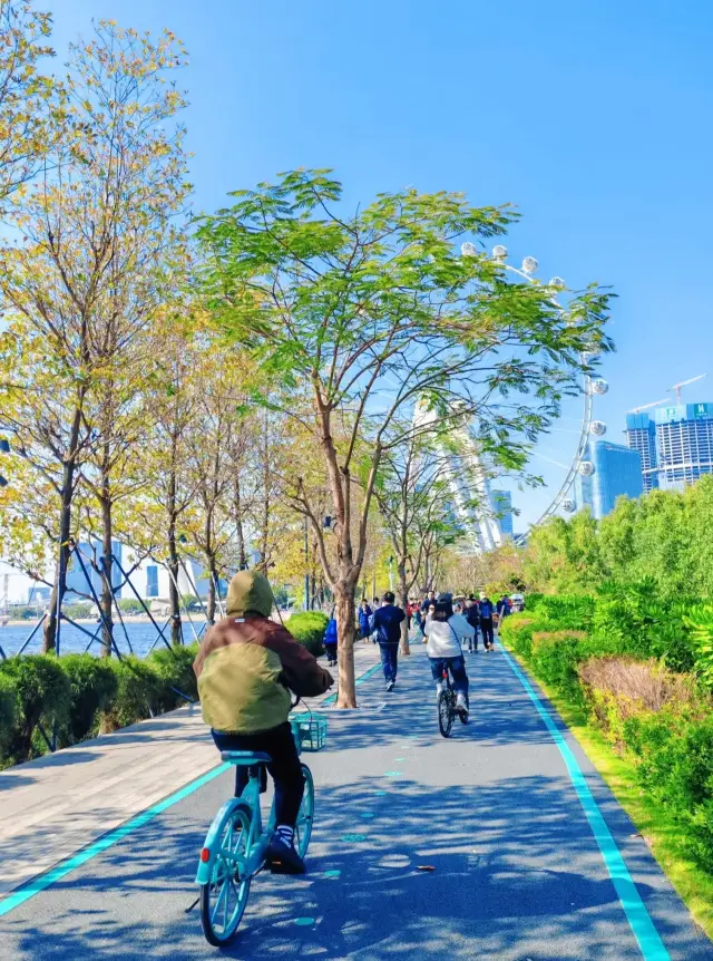 Off-Season City Getaway | The Ultimate Guide to Citywalk at Qianhai Stone Park 