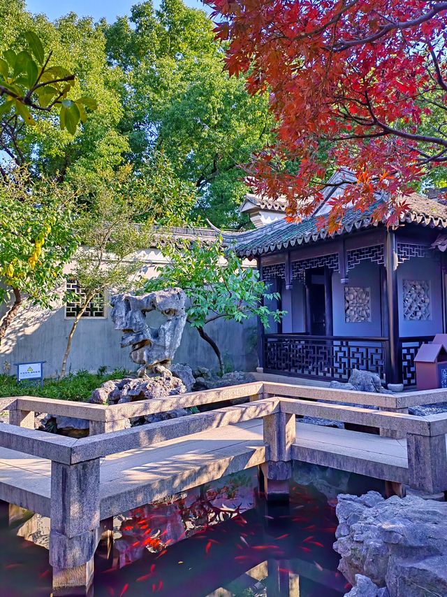 蘇州嚴家花園丨隱藏在古鎮裡的江南園林