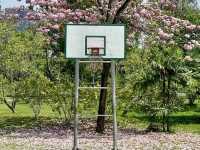 綠蔭與湖光：瓦琦拉班哲塔公園的靜謐時光