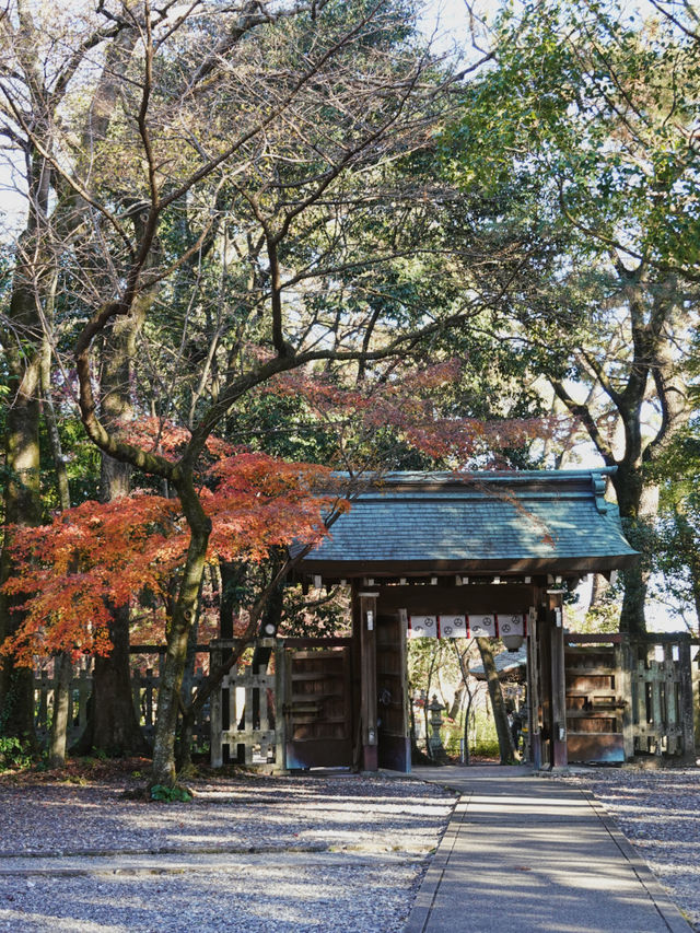 四國高知｜三日自駕遊，看山看海也看城