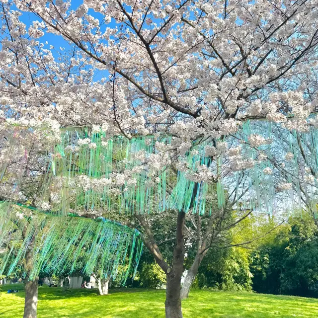 3.20 ภาพถ่ายจริง! สวนสาธารณะในอู่ฮั่นสวยจนต้องยกย่อง