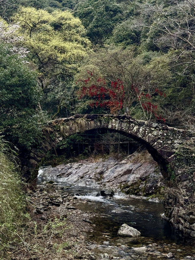 寧海 周末吸氧