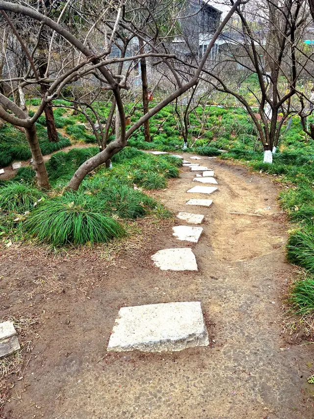 Spring Limited! One-Day Yangzhou Peach Blossom Viewing Guide