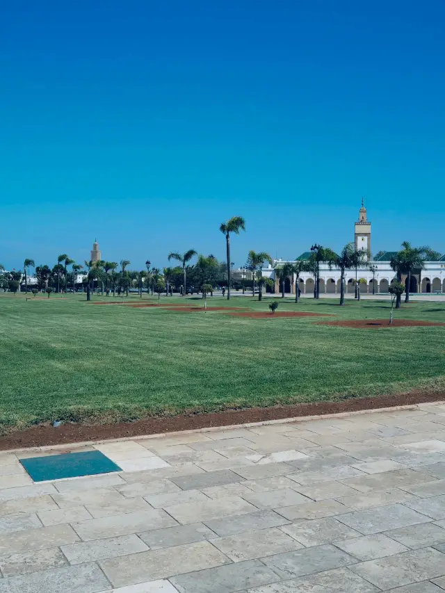 A short holiday is coming, a 7-day trip to Morocco is waiting for you.