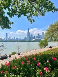 深圳灣公園，超級愜意的海濱漫步勝地✨