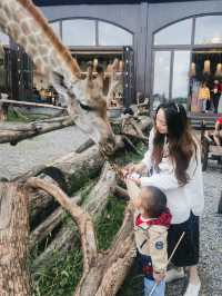 湖州長頸鹿莊園：和寶貝共赴一場長頸鹿早餐奇遇