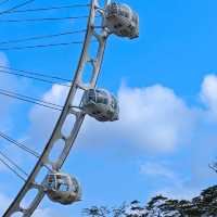 🎡【深圳歡樂港灣終極懶人包】✨