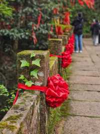 2024年4月10日帶父母去春遊（歙縣）