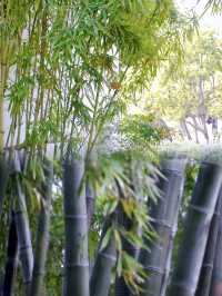 蘇州小眾寶藏公園 —— 東園