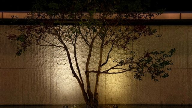 廣州｜鳴泉居