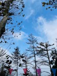 莫干山竹林秘境
