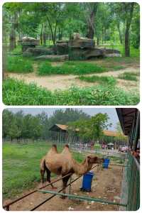 秦皇島 | 野生動物園