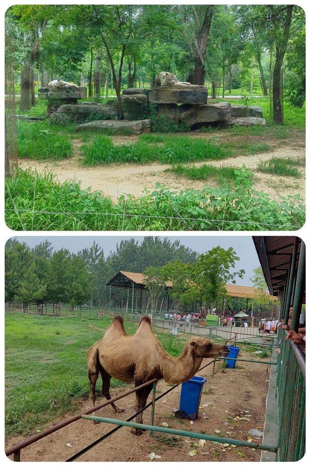 秦皇島 | 野生動物園