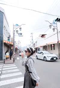 日本旅遊資源豐富的地方｜吉田市