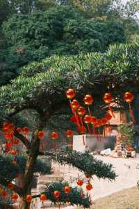 福州羅源｜慶雲禪寺一遊