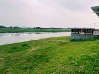 廣東省佛山市一處公園景點：濱江生態濕地公園，適合觀光旅遊、度假休閒等！