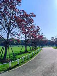 杭州春日奇遇！在東方文化公園闖入粉色桃花童話世界！