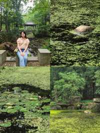 逃離城市•低能量旅行天目山度假攻略