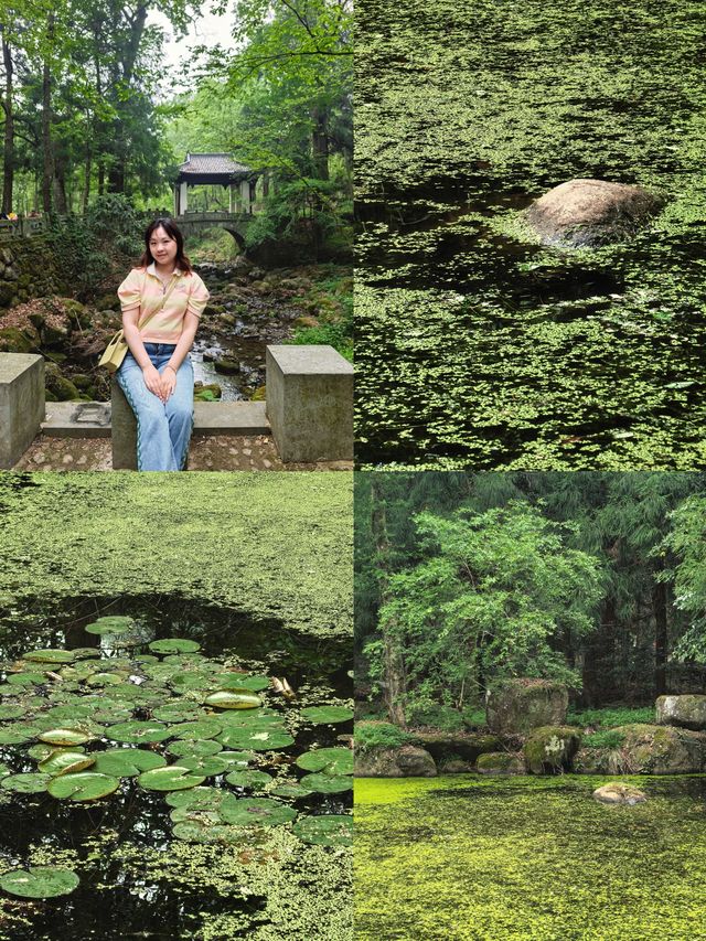 逃離城市•低能量旅行天目山度假攻略