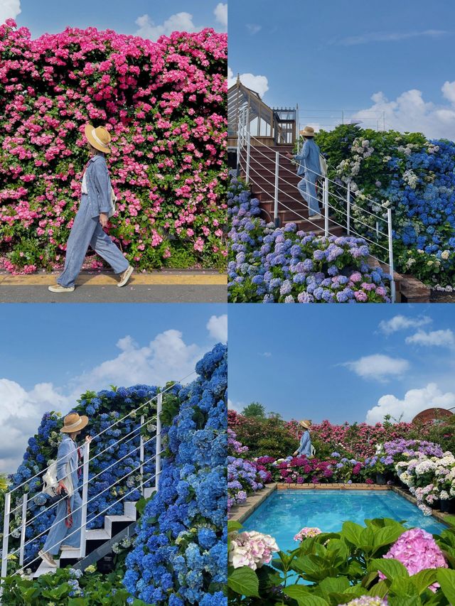 【五一避人潮指南】探秘海寧長安：千年古鎮的靜謐之美