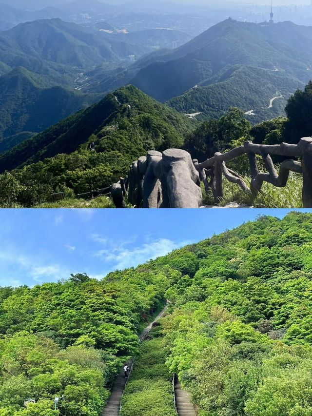 深圳點樣玩，竟然仲有人唔知