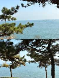 金石沙灘遊玩全攻略：邂逅遼東半島嘅海濱明珠