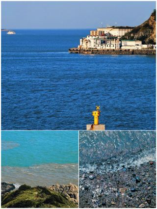 First Time to Zhoushan? Just Copy This Travel Guide