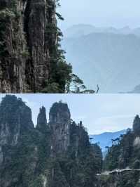 宜章受罪已回，實話拒噴